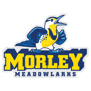 Team Page: Morley Elementary